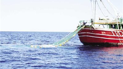 حظر موسمي للصيد في البحر الأحمر وخليجي السويس والعقبة