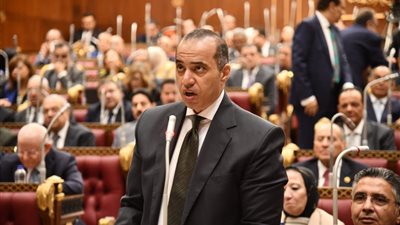 محمود فوزى: دراسة الأثر التشريعي لقانون التجارة أكدت أن التعديل واجب