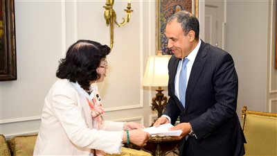 وزير الخارجية : مصر تتطلع لمشاركة اليابان في مؤتمر إعادة إعمار غزة 