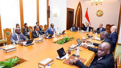 وزير الخارجية يستقبل أعضاء اللجنة التنفيذية للرابطة الإفريقية للإدارة العامة 