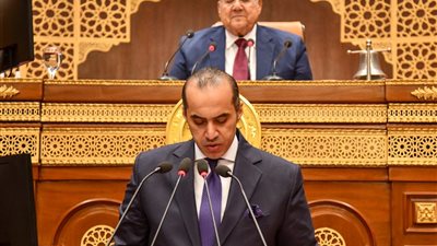 وزير الشئون النيابية: تحديث القوانين أصبح ضرورة لمواكبة التطور