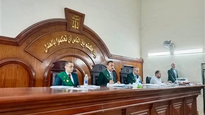 السجن 7 سنوات للمتهم بقتل شاب رفض توصيله بسيارته في البحيرة