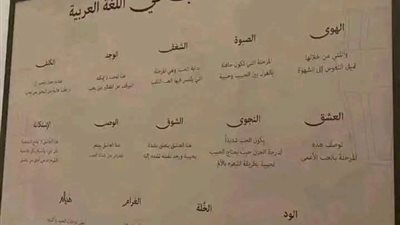 ١٤ درجة للحب في اللغة العربية.. أولها الهوى وآخرها هُيام