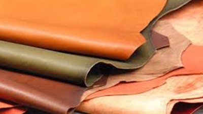 جلد الحمير بـ300 دولار... انخفاض صادرات جلود المواشي بمطلع 2025 بنسبة 50%