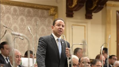 النائب حسن عمار: توجيهات الرئيس السيسي رسخت نزاهة الانتخابات 