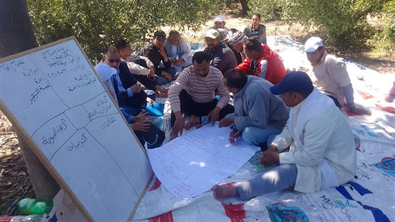 المدرسة الحقلية 