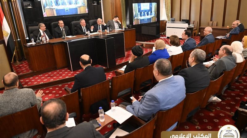  المستشار محمود فوزي