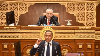 النائب محمد أبو غالي يطالب تقليل وقت الإفراج الجمركي