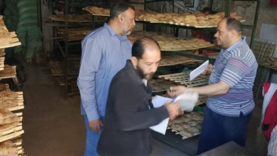 لحوم ودواجن فاسدة.. تحرير 72 مخالفة تموينية في حملة مكبرة بالمنيا