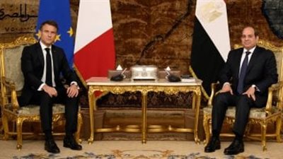 خبير اقتصادي: فرنسا شريك أساسي في المجال التعليمي والتدريبي في مصر