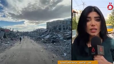 قمة القاهرة الثلاثية خطوة مهمة لوقف العدوان ودعم غزة | فيديو