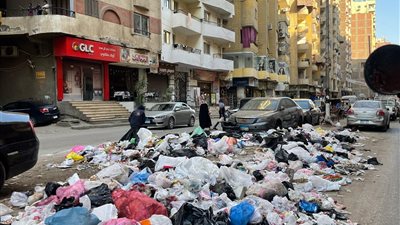 كاميرا «نيوز رووم» ترصد تراكم المخلفات بمحافظة الجيزة 