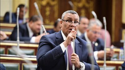 وكيل الخطة بمجلس النواب: المتأخرات الضريبية تتضمن 131 مليار يتعذر تحصيلها