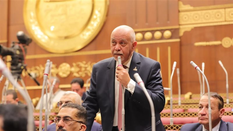 النائب حازم الجندي