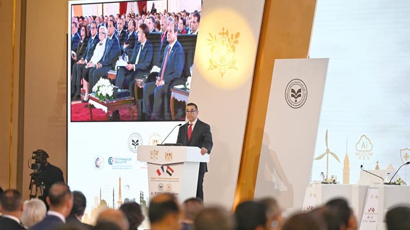 الاستثمارات الفرنسية