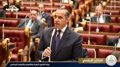 مجلس الشيوخ يناقش تطوير منظومة الإفراج الجمركي والنافذة الواحدة