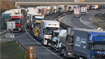 جدار صحي عبر الحدود.. النمسا تتحصن ضد خطر الحمى القلاعية