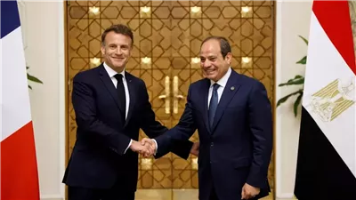 محمد الشرقاوي: تعاون مصري فرنسي في التعليم العالي يشمل 70 برنامجًا مشتركًا