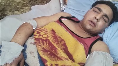 لجنة بيطرية من القاهرة تفحص حيوانات سيرك طنطا بعد واقعة افتراس عامل