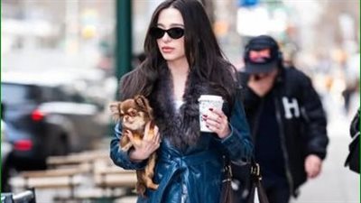 كيف ينسق نجوم هوليوود إطلالتهم عندما يمشون مع كلبهم؟|صور 