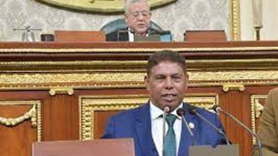 النائب سيد عوض: زيارة ماكرون لوسط البلد دعم كبير للسياحة المصرية