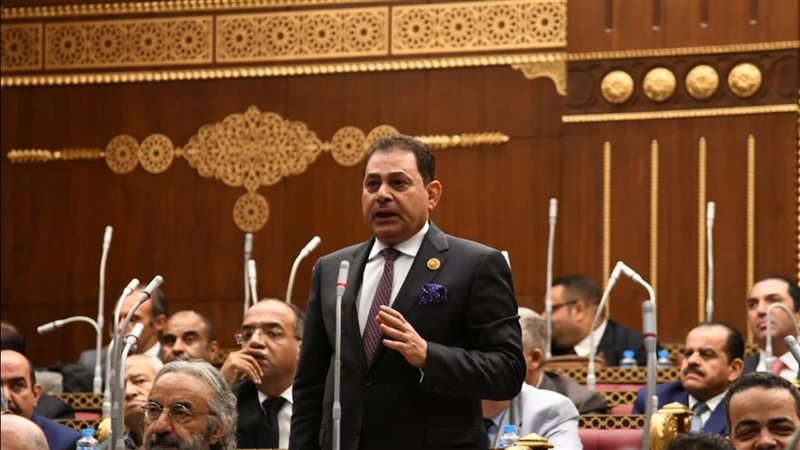 النائب فرج فتحي