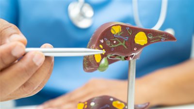  9 مشروبات طبيعية تخلصك من دهون الكبد خلال أسبوعين فقط