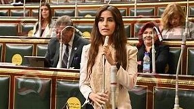 خارجية النواب: وعي المصريين وإدراكهم لأهمية الحفاظ على اللحمة الوطنية 