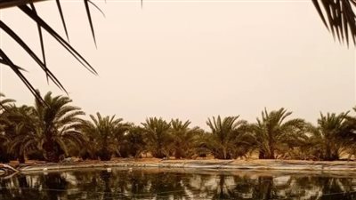 عمقه 6 أمتار.. وفاة شاب سقط داخل بئر في مزرعة نخيل بالمنيا