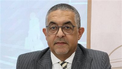 كيف تساهم الإصلاحات الاقتصادية في جذب الاستثمارات الأجنبية إلى مصر؟