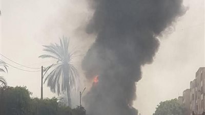 حريق سيارة نقل محملة بالبضائع أثناء سيرها على الطريق الزراعي بجرجا | صور