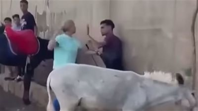 سائحة تتشاجر مع سائس في نزلة السمان بسبب اعتداءه على حمار بالكرباج