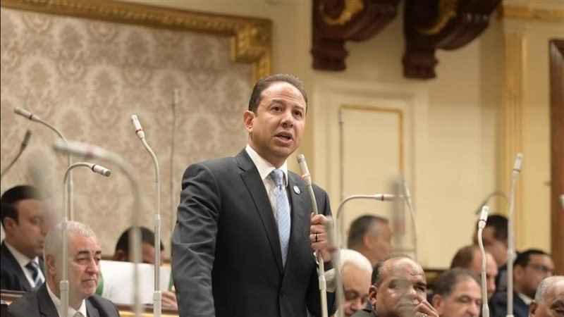 النائب حسن عمار