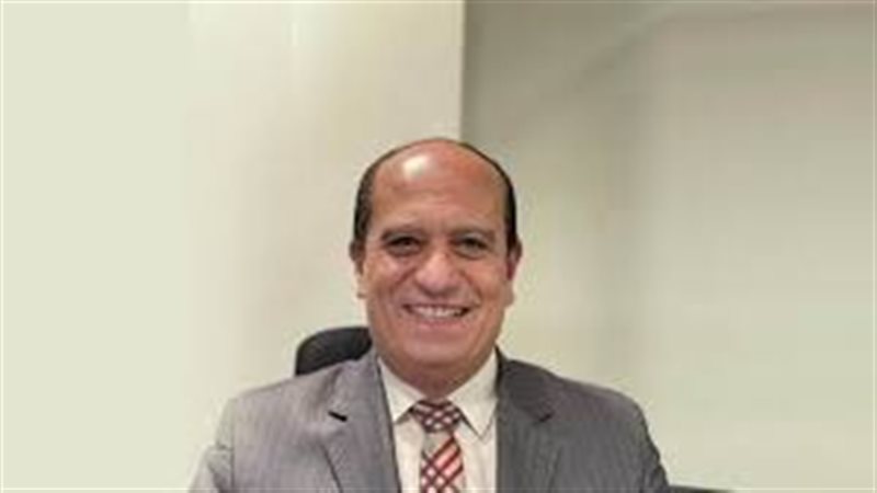 محمد الشوربجي، الخبير