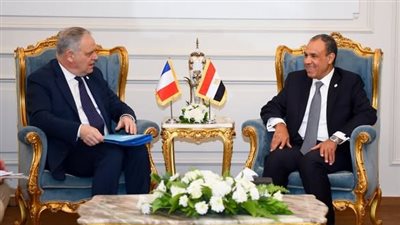 وزير الخارجية: زيارة ماكرون عكست الطابع الاستراتيجي للعلاقات بين البلدين