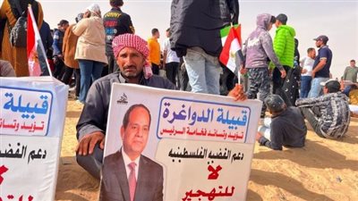  رئيس جمعية مجاهدي سيناء: قبائل سيناء تدعم الرئيس السيسي  | فيديو