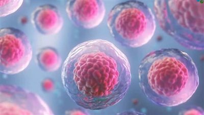 أسرار الخلايا الجذعية: كيف تحمل مفتاح عُمرك الطويل والوقاية من المرض؟