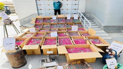 ترسانة مواد محظورة.. ضبط عامل يدير ورشة سرية لتصنيع الألعاب النارية بالفيوم