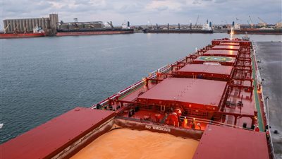 ميناء دمياط يستقبل 11 سفينة بضائع عامة خلال 24 ساعة