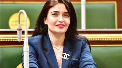 إيرين سعيد تكشف لـ «نيوز رووم» خطة عمل لجنة الصحة بمجلس النواب