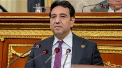 النائب أيمن محسب: زيارة الرئيس الإندونيسي لمصر فرصة لدعم التنسيق بين الدولتين