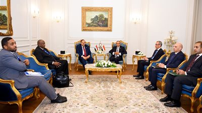 أشرف العشري: مصر تلعب دورًا محوريًا في دعم السودان (فيديو)