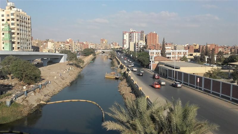 ارشيفية