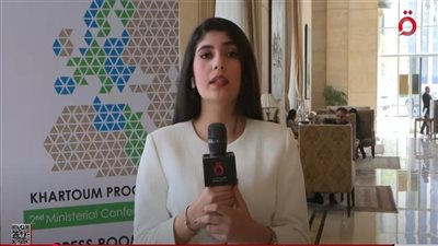 مصر تحتضن الاجتماع الوزاري الثاني لعملية الخرطوم |فيديو
