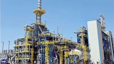 طرح شركات جهاز الخدمة الوطنية فى البورصة.. بين تعزيز الشفافية وجذب الاستثمارات