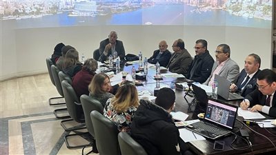 التنسيق الحضاري: تفعيل برنامج «حارس الشجرة» للحفاظ على «الأشجار المعمّرة» بمصر