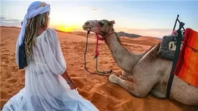 مصدر يكشف لـ «نيوز رووم» حقيقة «عقر سائحة» بواسطة جمل فى سقارة 