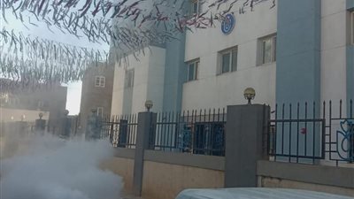 لمنع انتشار الأمرض.. سيارات الرش تجوب الشوارع للقضاء على الذباب|صور