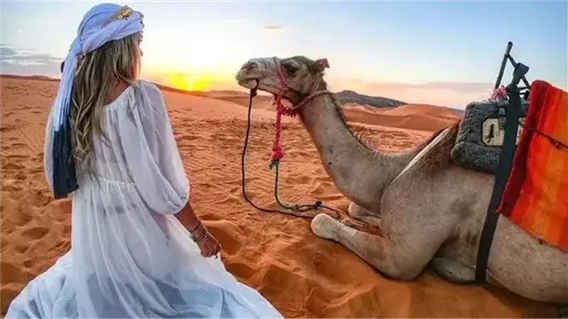 ارشيفية