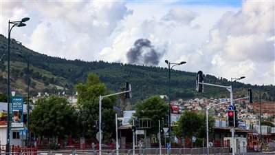 داء الكلب يرعب شمال إسرائيل.. وعجل ضال يُثير ذعر المستوطنين